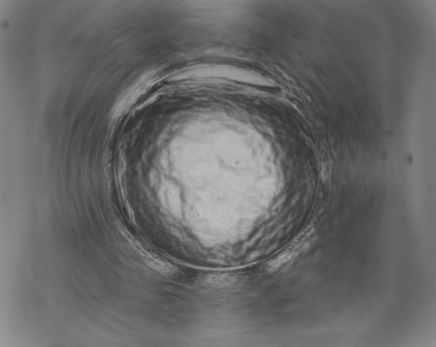 X0000076300341200610161559