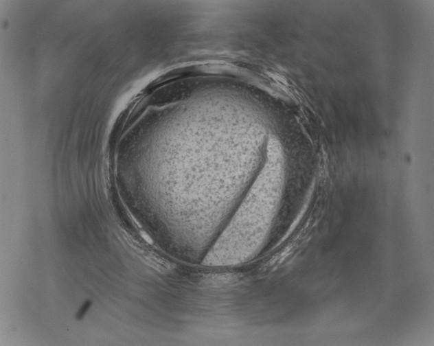 X0000076300342200610161559