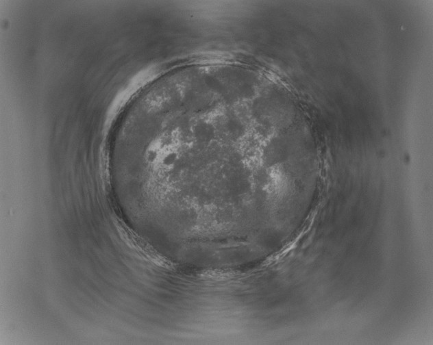 X0000076300343200610161559