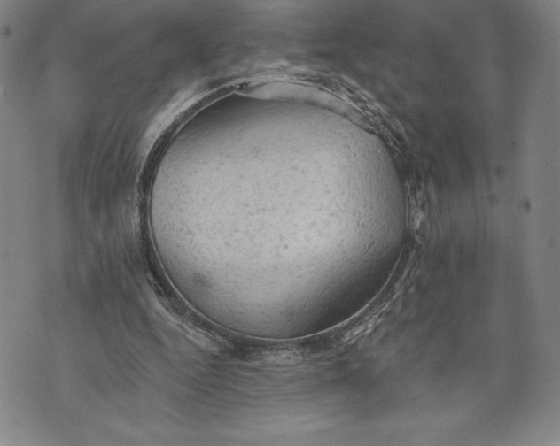 X0000076300344200610161559