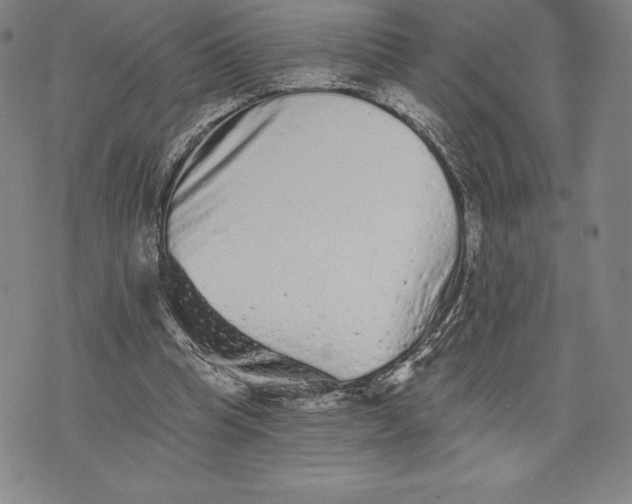 X0000076300345200610161559