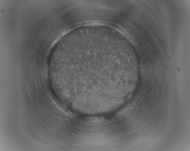 X0000076300347200610161559