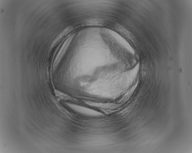 X0000076300349200610161559