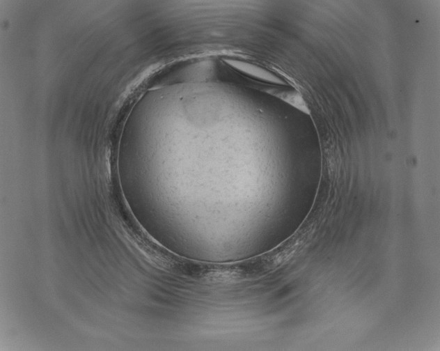 X0000076300350200610161559