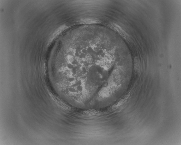 X0000076300351200610161559