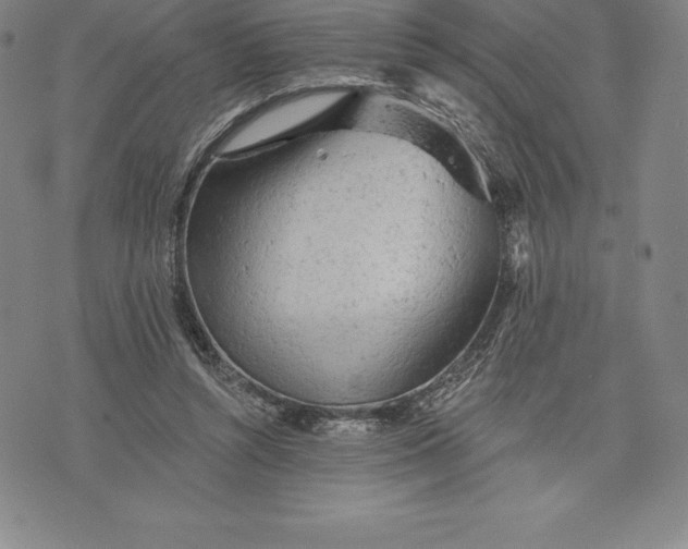 X0000076300352200610161559