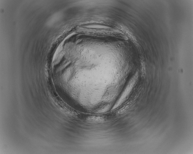 X0000076300354200610161559