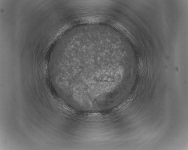 X0000076300355200610161559