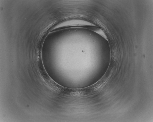 X0000076300356200610161559