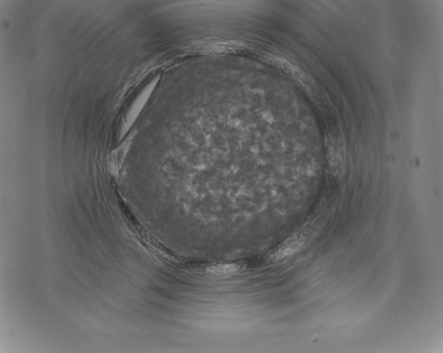 X0000076300357200610161559