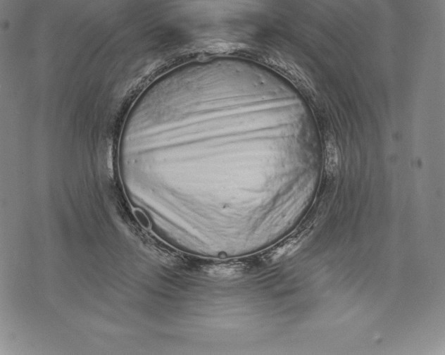 X0000076300358200610161559