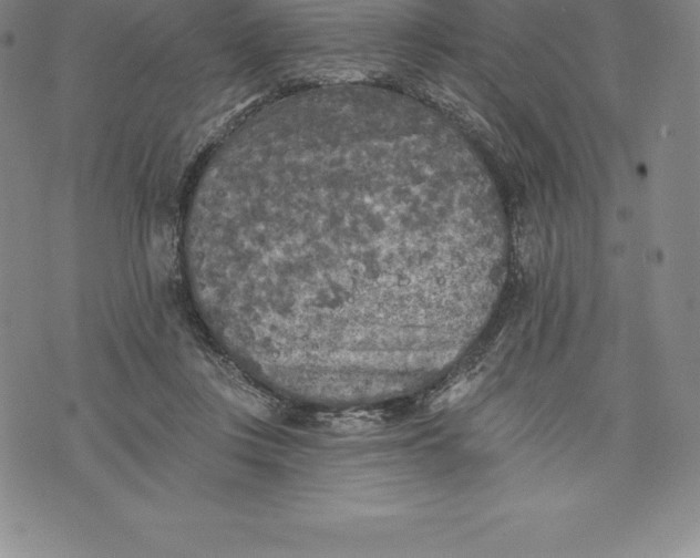 X0000076300359200610161559