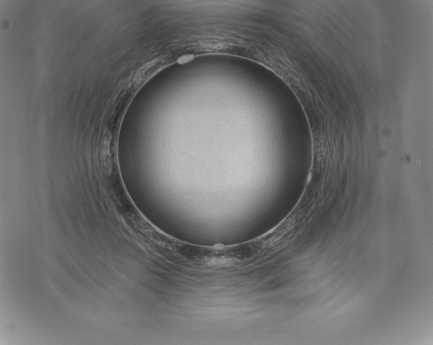 X0000076300360200610161559