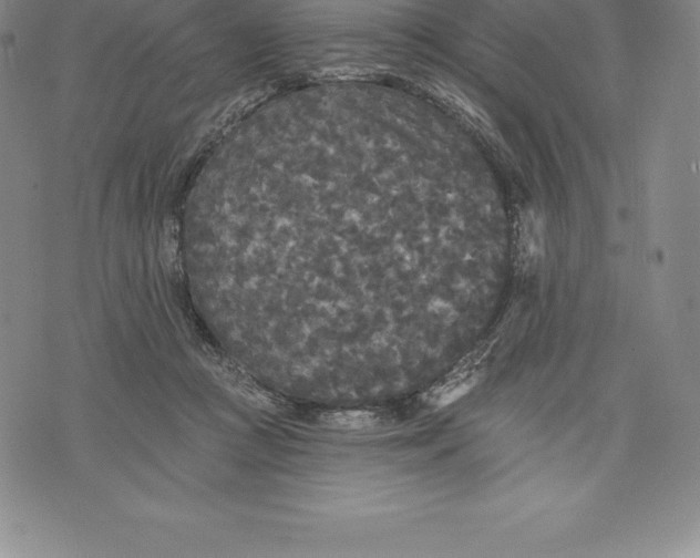 X0000076300361200610161559