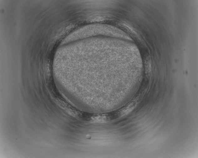 X0000076300362200610161559