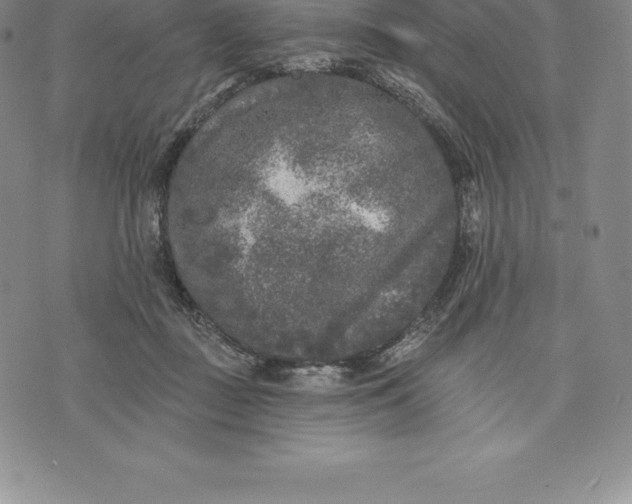 X0000076300363200610161559