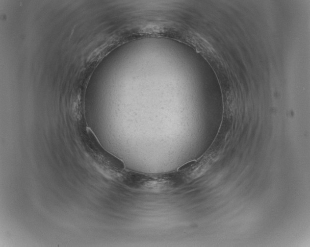 X0000076300364200610161559