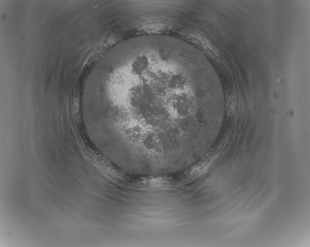 X0000076300365200610161559