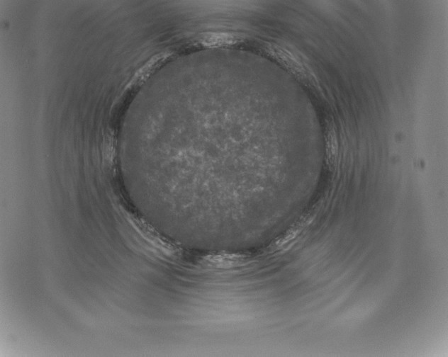 X0000076300367200610161559