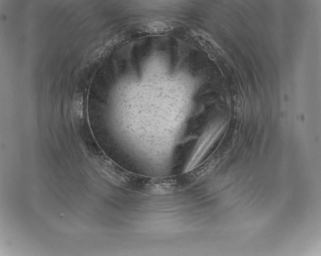 X0000076300368200610161559