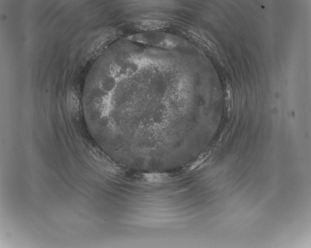 X0000076300371200610161559