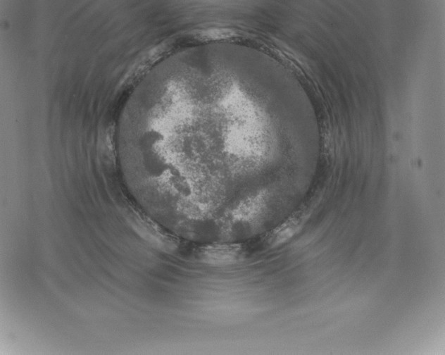 X0000076300373200610161559