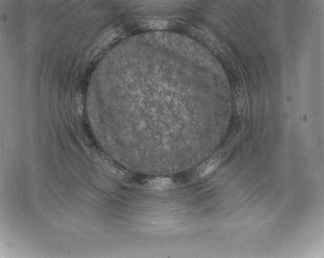 X0000076300374200610161559