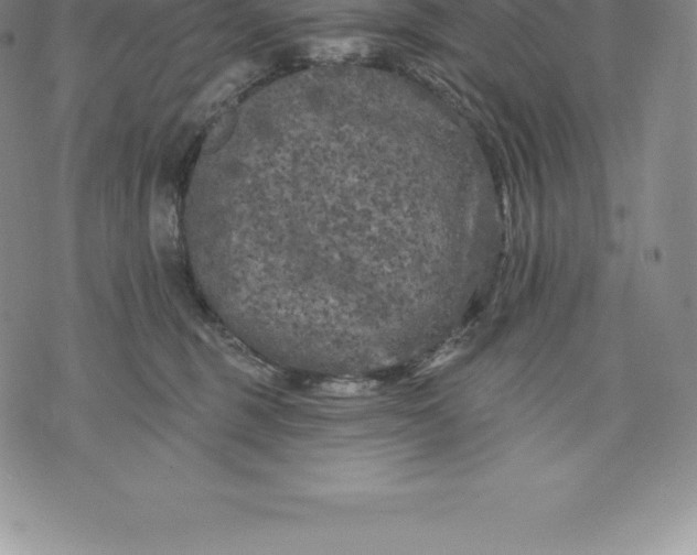 X0000076300375200610161559