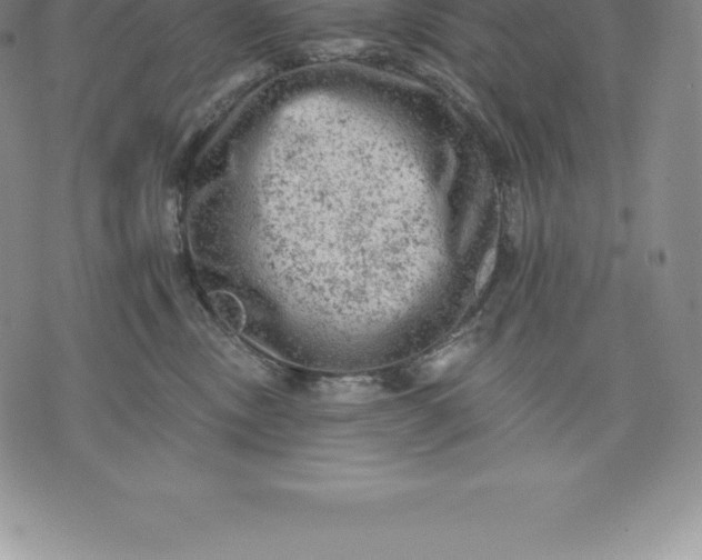 X0000076300378200610161559