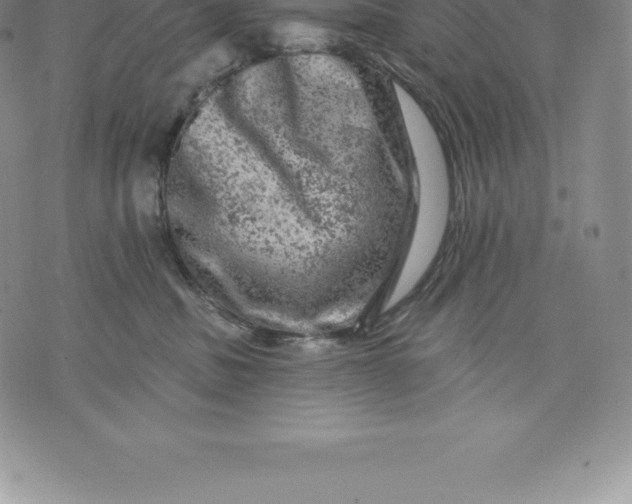 X0000076300379200610161559