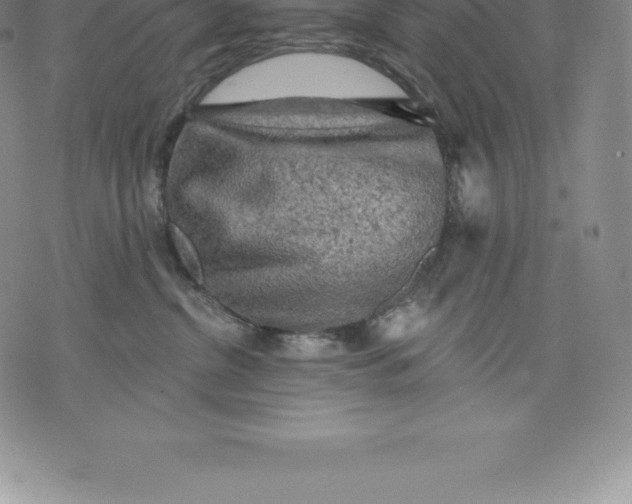 X0000076300380200610161559