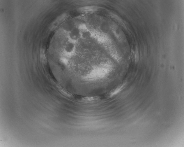 X0000076300381200610161559