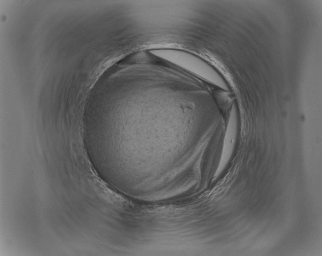 X0000076300385200610161559