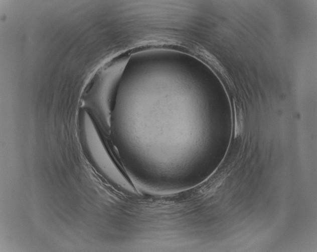 X0000076300387200610161559