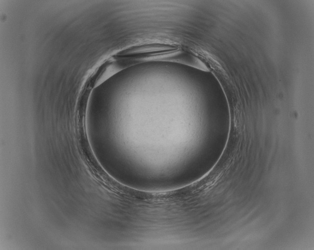 X0000076300388200610161559