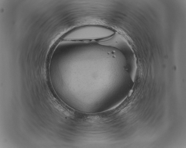 X0000076300391200610161559