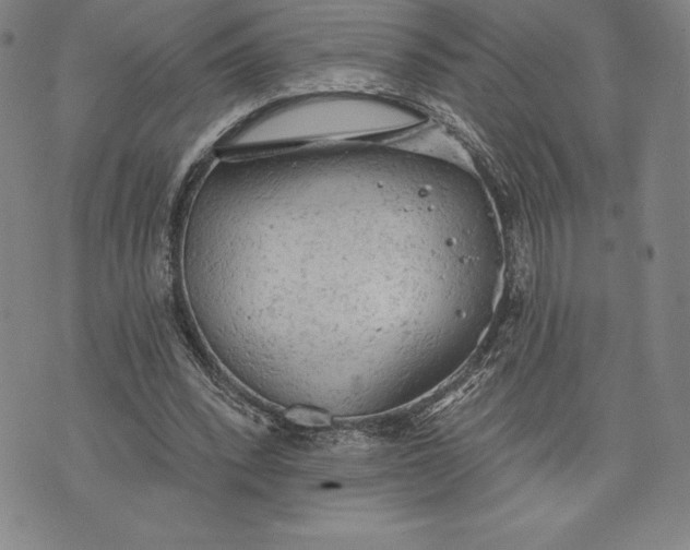 X0000076300392200610161559