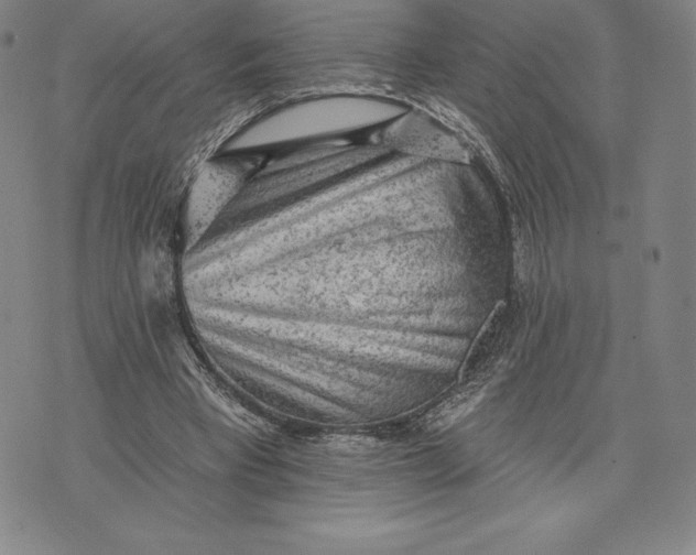 X0000076300393200610161559