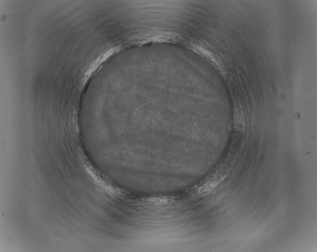 X0000076300394200610161559