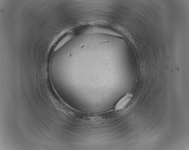 X0000076300395200610161559