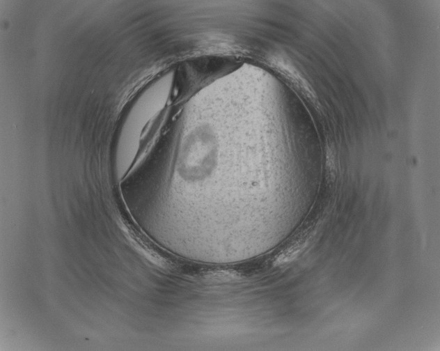 X0000076300397200610161559