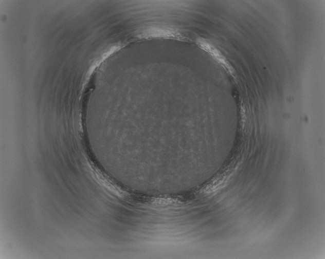 X0000076300399200610161559