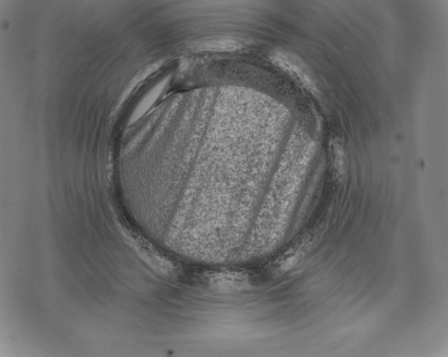 X0000076300400200610161558