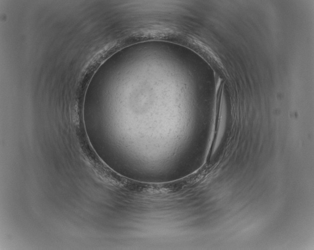 X0000076300403200610161558