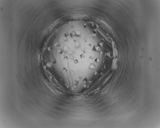 X0000076300405200610161558