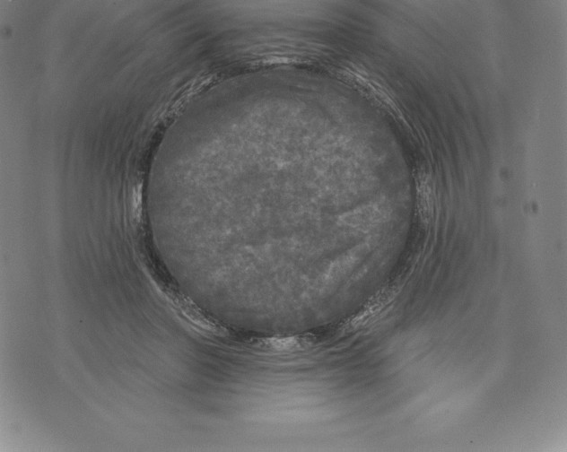 X0000076300406200610161558