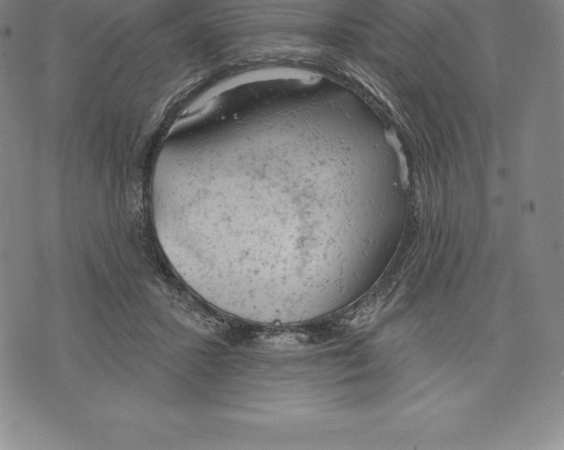 X0000076300407200610161558