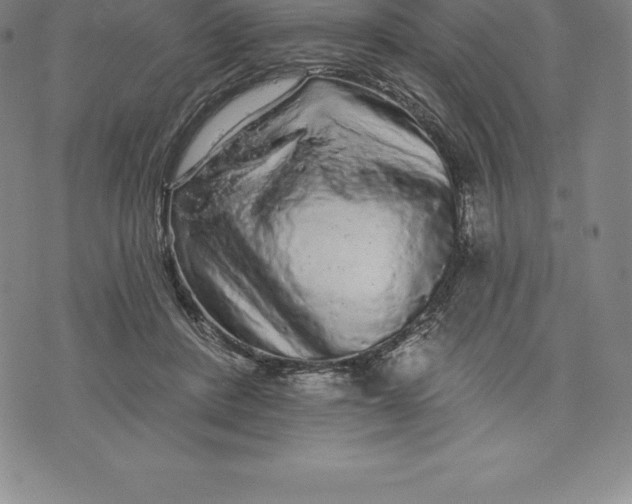 X0000076300408200610161558