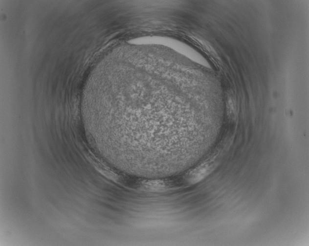 X0000076300409200610161558