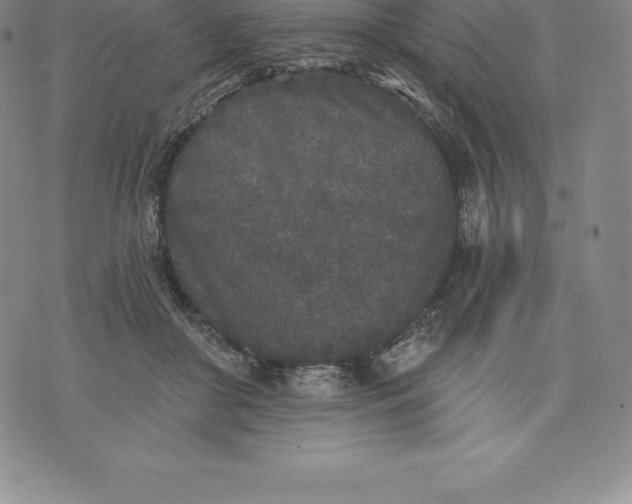 X0000076300410200610161558